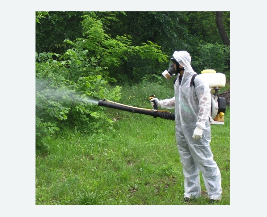 обработка территории от клещей в Савеловском районе Москвы