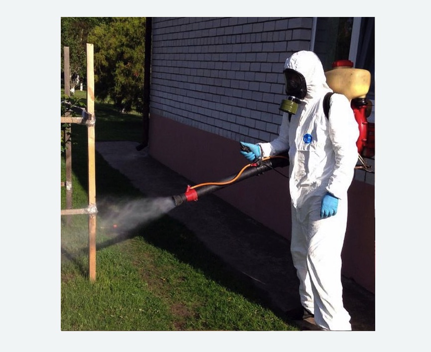 травля клещей на участке в Савеловском районе Москвы