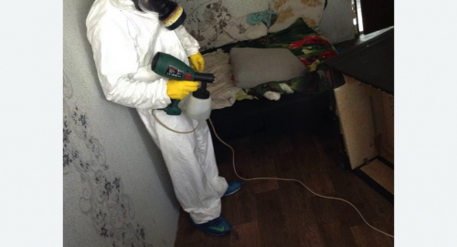 Обработка квартир от насекомых в Савеловском районе Москвы