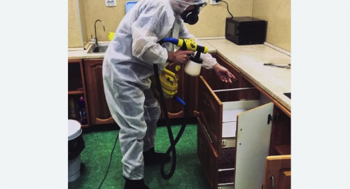 Дезинсекция квартиры. Савёловский район