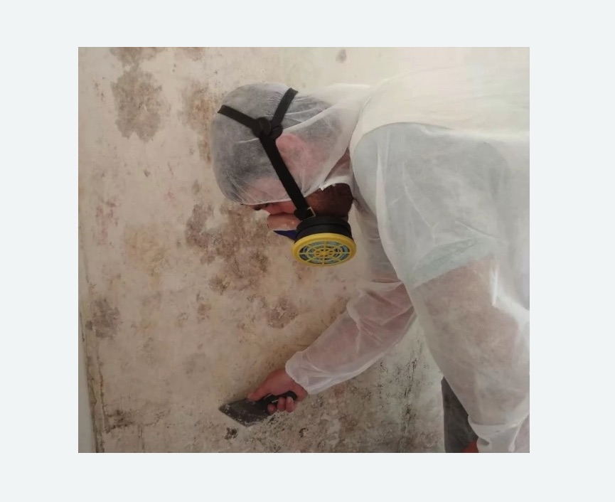 Обработка стен от плесени в Савеловском районе Москвы