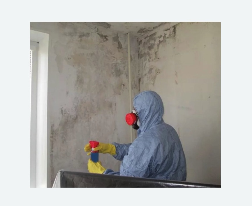 Удаление плесени в квартире в Савеловском районе Москвы