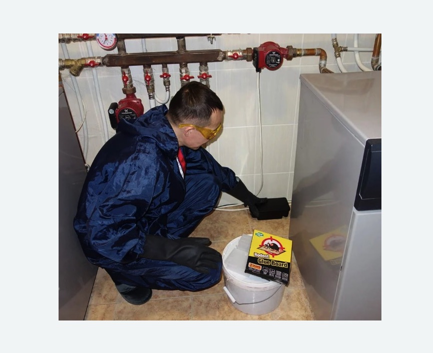 Уничтожение крыс в Савеловском районе Москвы