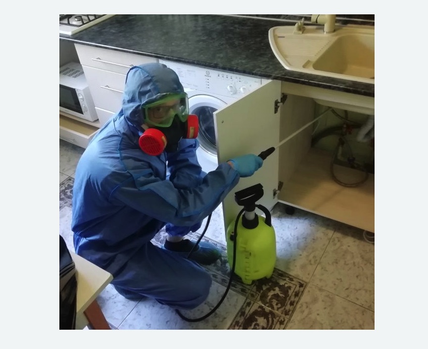 обработка от муравьев в квартире в Савеловском районе Москвы