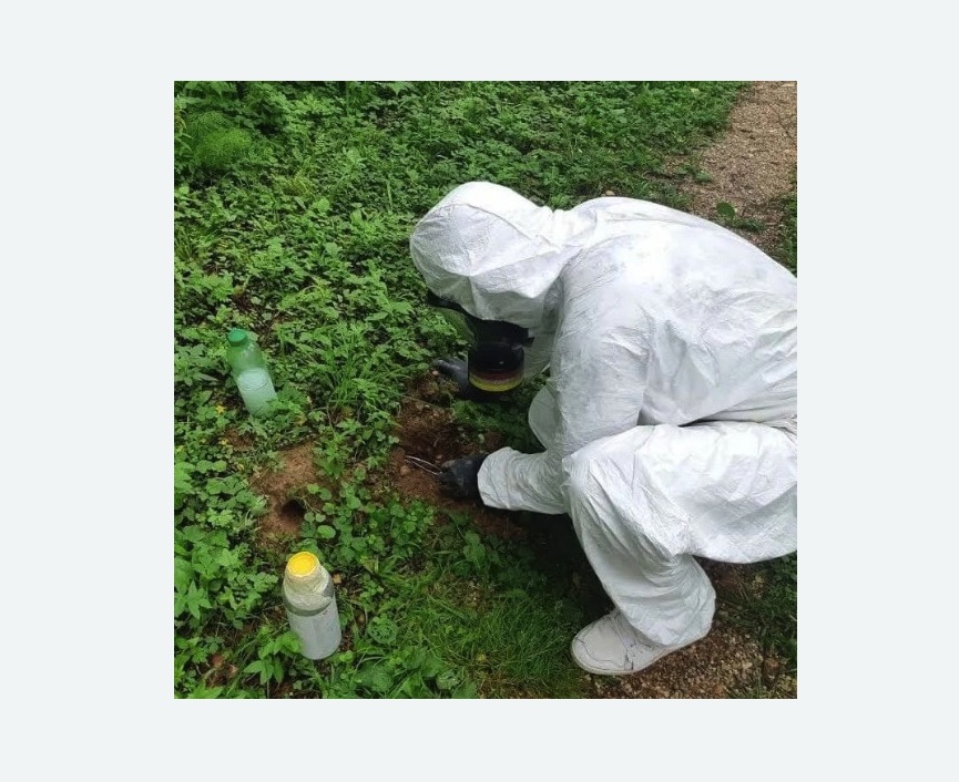 уничтожение кротов на участке в Савеловском районе Москвы