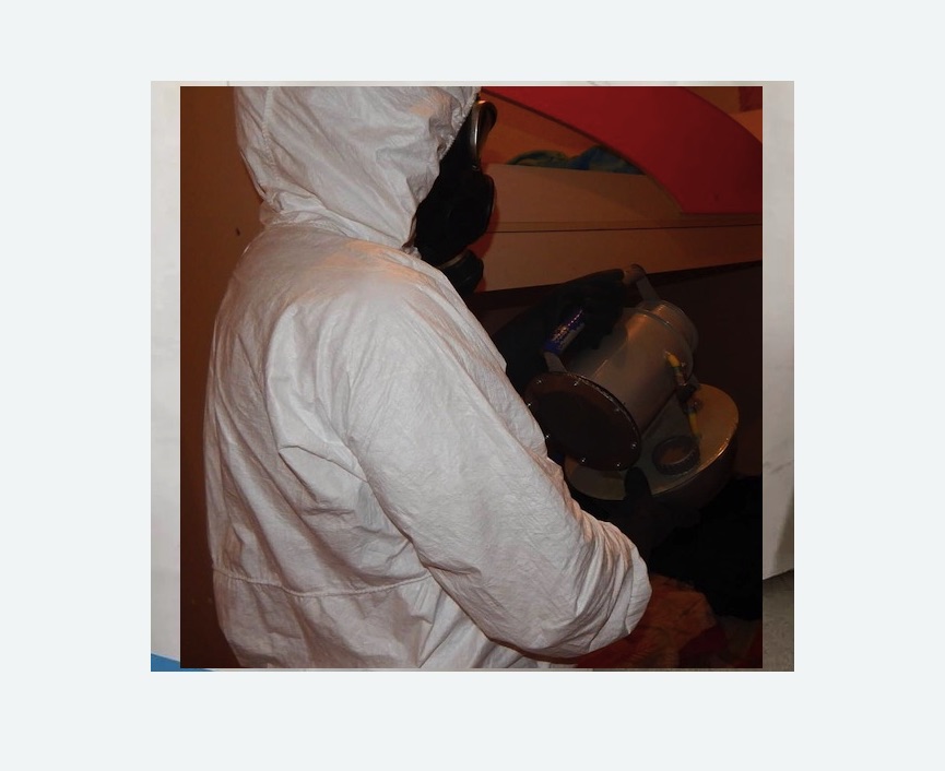 Дезинфекция от муравьев в Савеловском районе Москвы